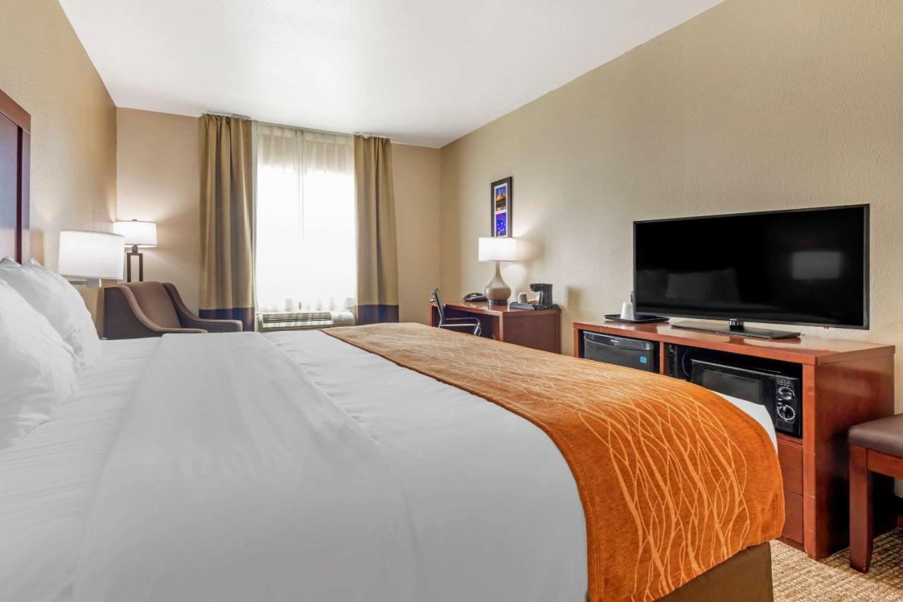 King Room Pet Friendly - Accessible/Non-Smoking at Comfort Inn Near UNT
