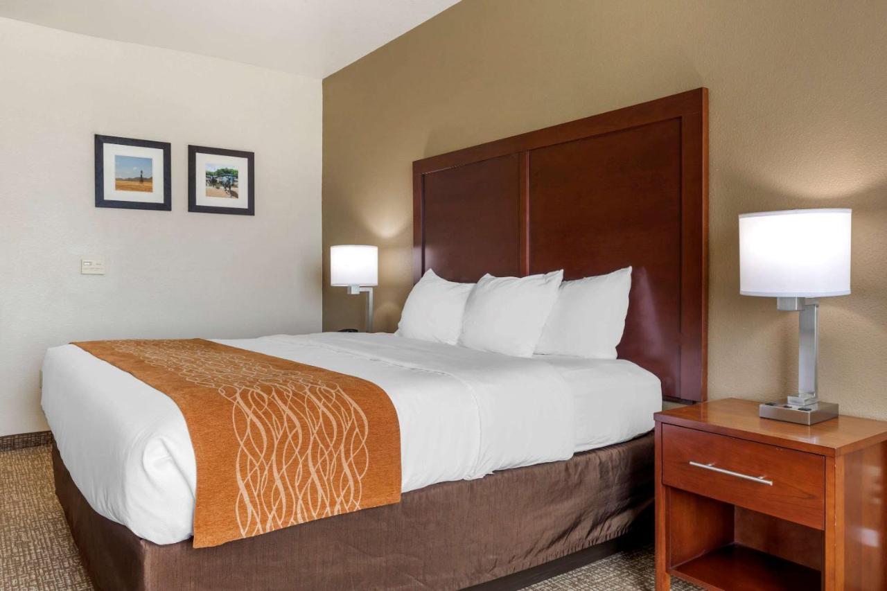 King Room Pet Friendly - Accessible/Non-Smoking at Comfort Inn Near UNT