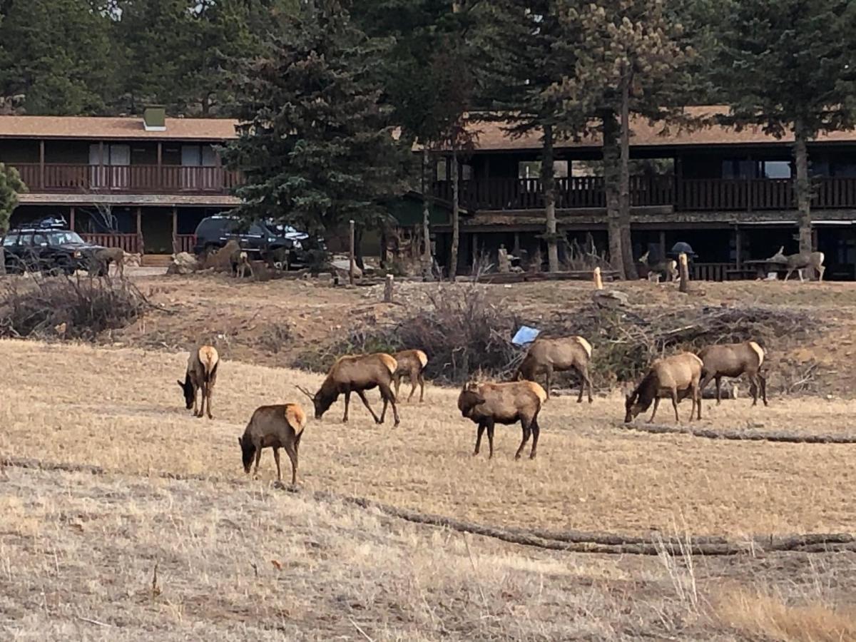 | Estes Lake Lodge