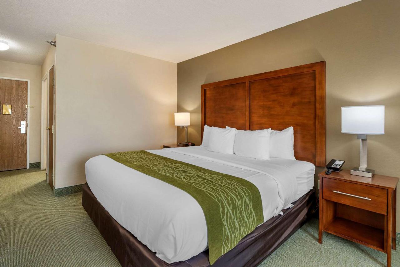 King Room - Accessible/Non-Smoking at Comfort Inn Muscatine near Hwy 61