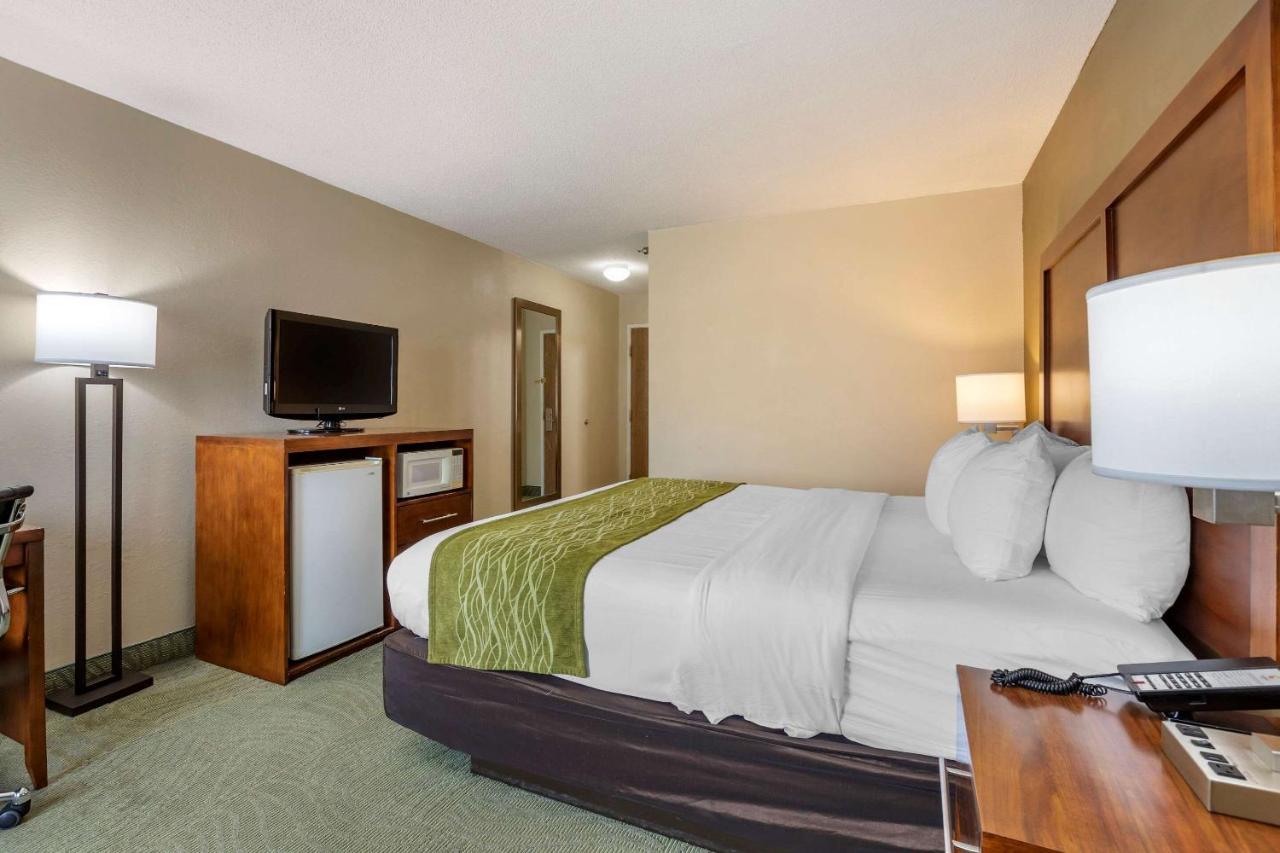 King Room - Accessible/Non-Smoking at Comfort Inn Muscatine near Hwy 61