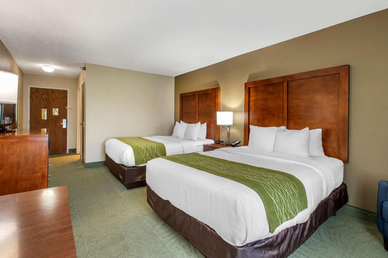 Queen Room with Two Queen Beds - Non-Smoking at Comfort Inn Muscatine near Hwy 61