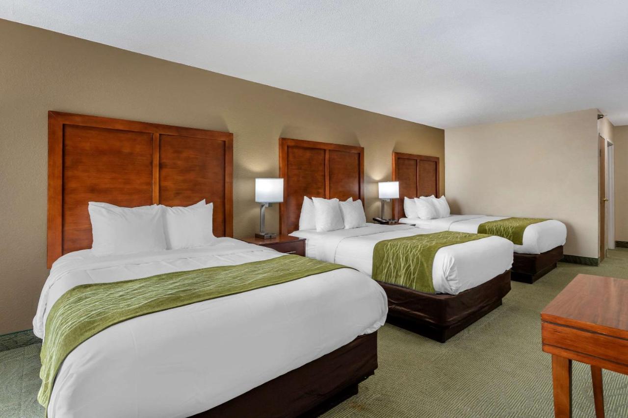 Queen Suite with Three Queen Beds - Non Smoking at Comfort Inn Muscatine near Hwy 61