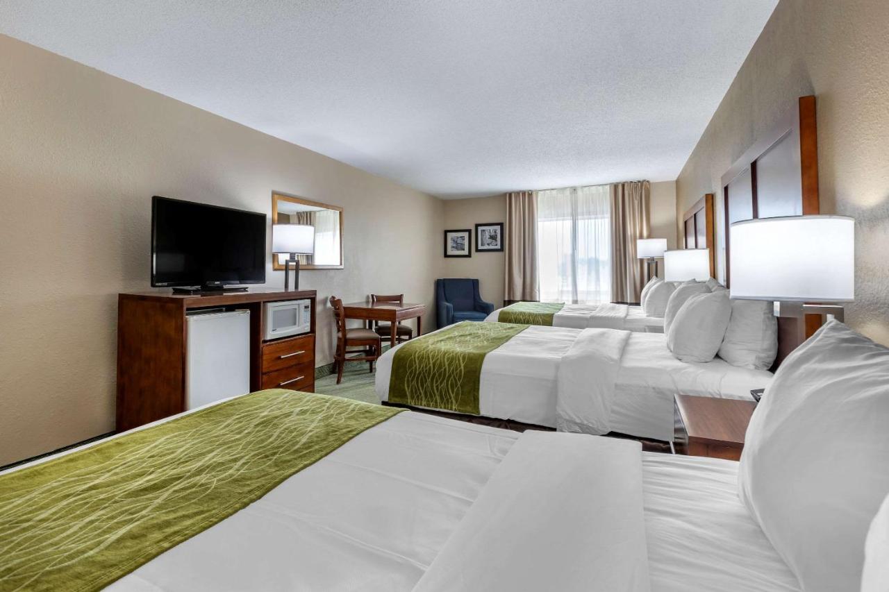 Queen Suite with Three Queen Beds - Non Smoking at Comfort Inn Muscatine near Hwy 61
