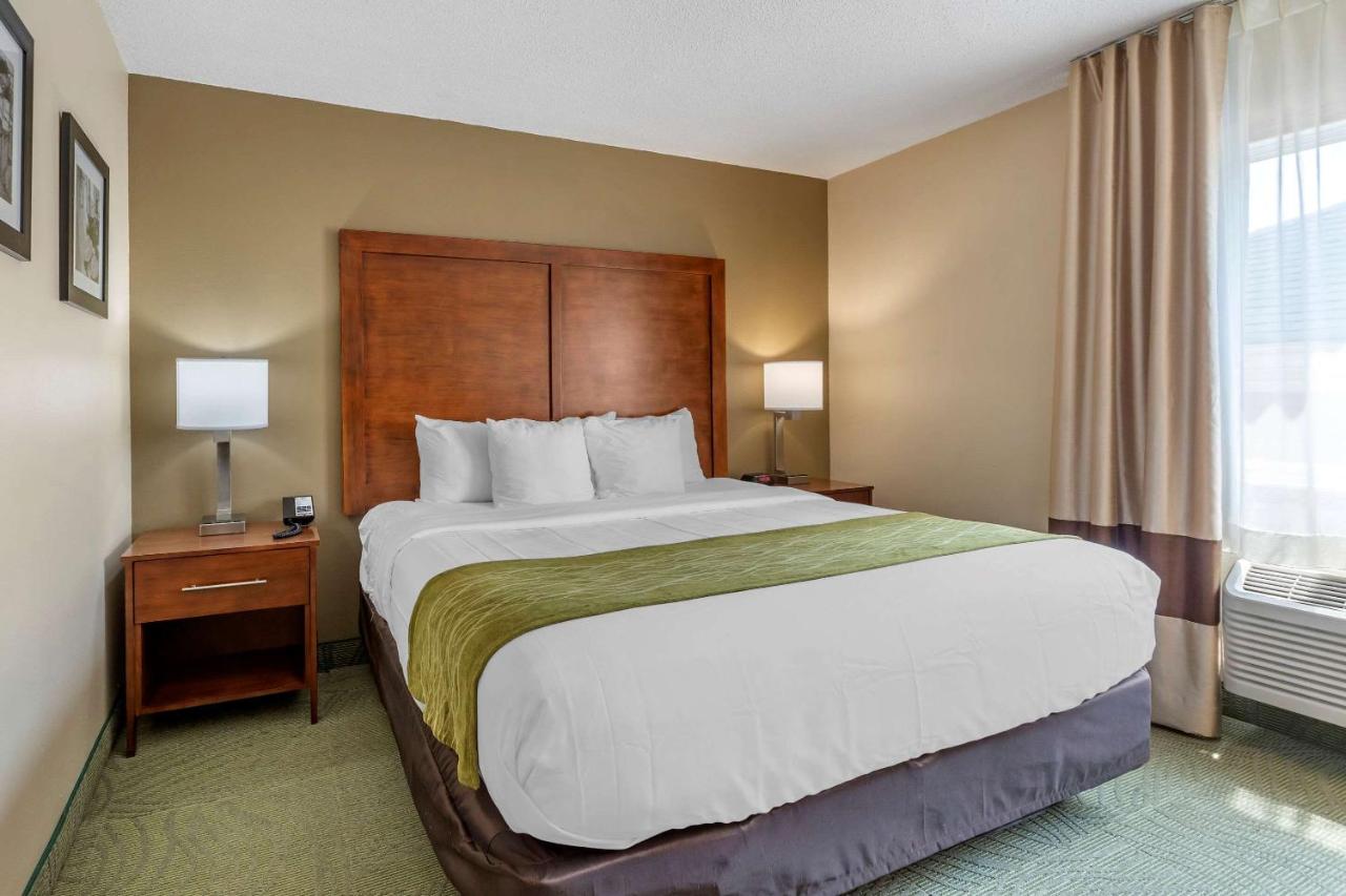 King Suite - Non Smoking at Comfort Inn Muscatine near Hwy 61