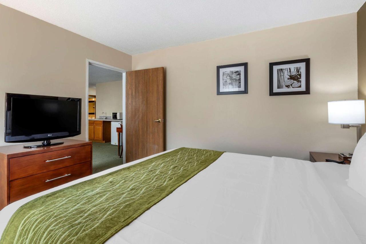 King Suite - Non Smoking at Comfort Inn Muscatine near Hwy 61