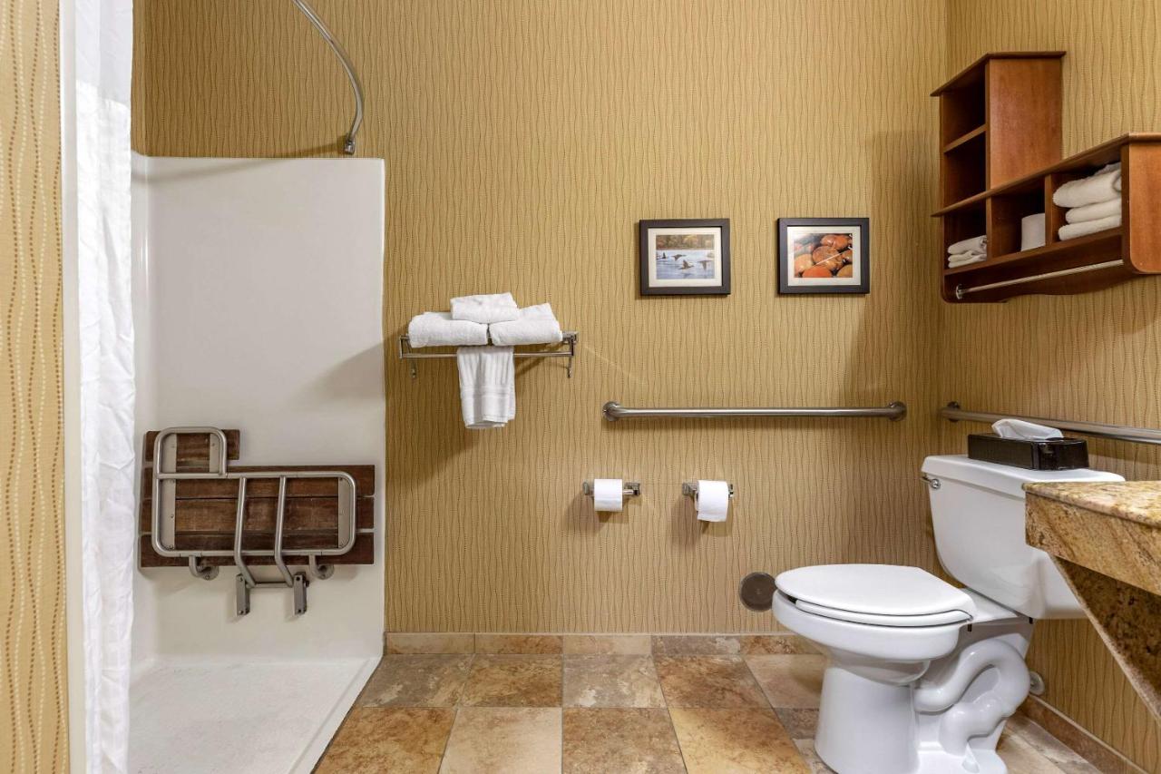 King Room with Roll-In Shower - Accessible/Non-Smoking at Comfort Inn Wings Stadium