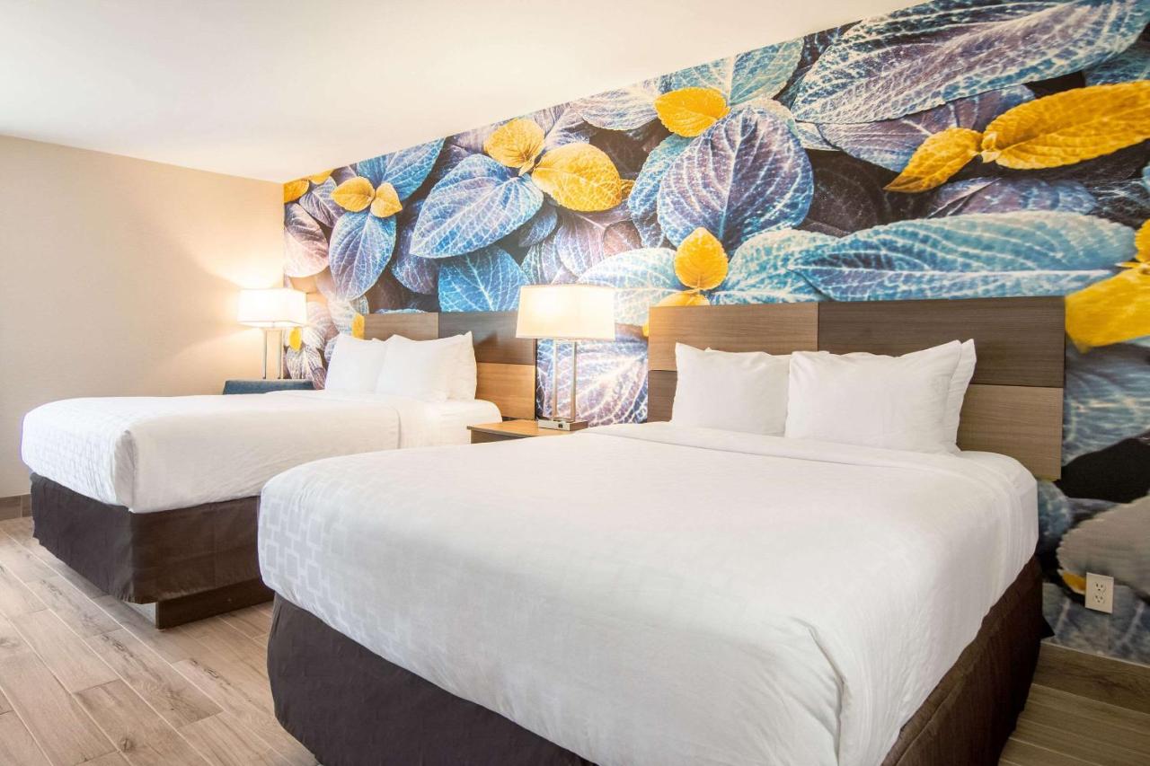 Queen Room with Two Queen Beds - Non Smoking/Pet Friendly at Clarion Pointe South Boston - Danville East