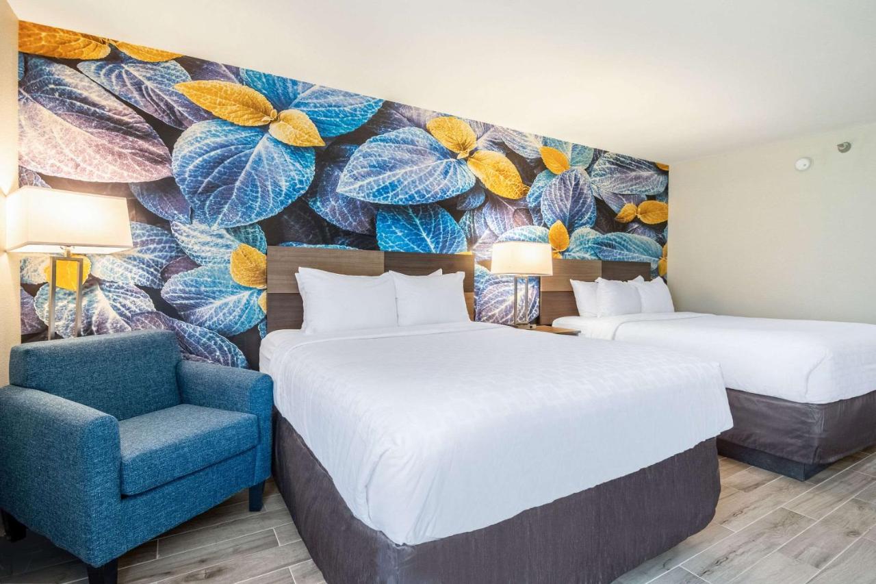 Queen Room with Two Queen Beds - Non Smoking/Pet Friendly at Clarion Pointe South Boston - Danville East