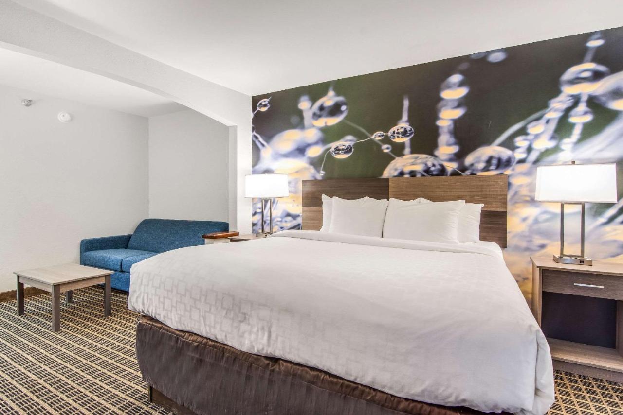 King Suite - Non-Smoking at Clarion Pointe South Boston - Danville East