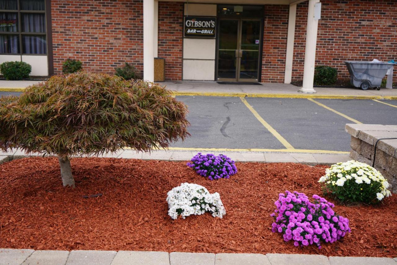 | Rodeway Inn & Suites Bradley Airport