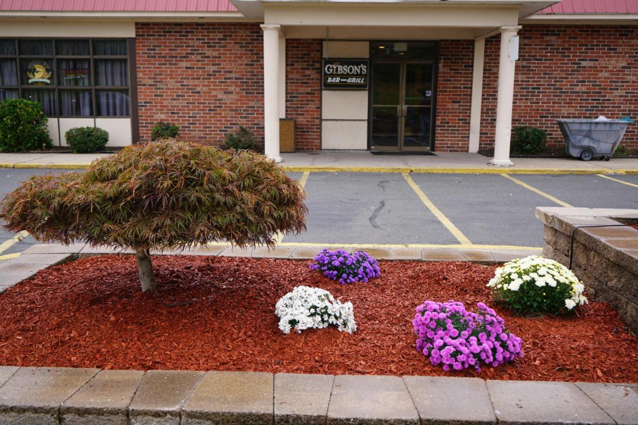 | Rodeway Inn & Suites Bradley Airport