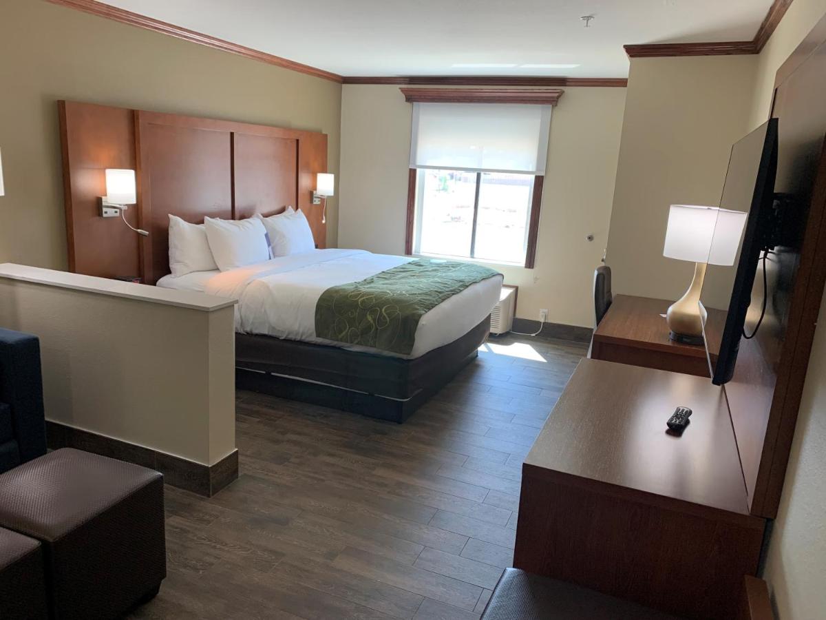 Executive King Suite with Sofa Bed - Non smoking at Comfort Suites West Monroe near Ike Hamilton Expo Center