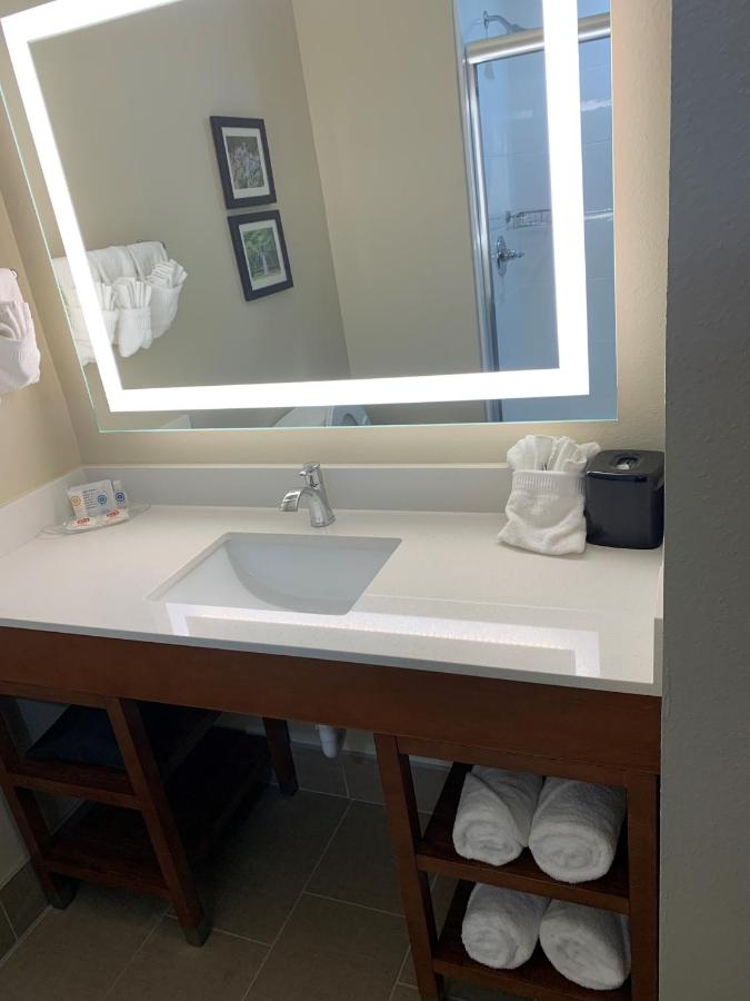 Executive King Suite with Sofa Bed - Non smoking at Comfort Suites West Monroe near Ike Hamilton Expo Center