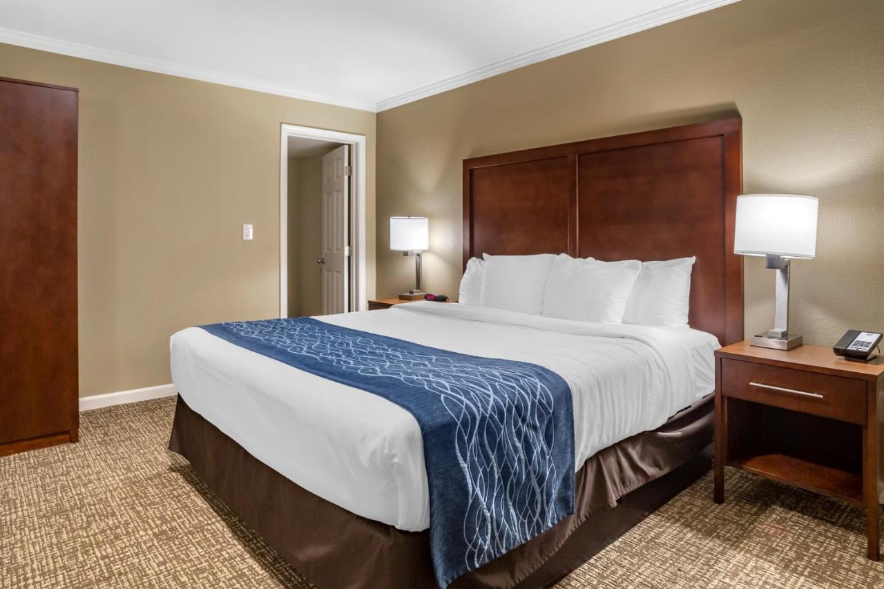 Premier Suite, 1 King Bed, Non Smoking at Comfort Inn Sunnyvale - Silicon Valley