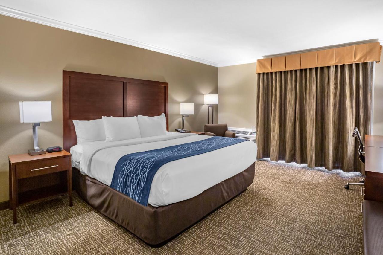 Deluxe Room, 1 King Bed, Non Smoking at Comfort Inn Sunnyvale - Silicon Valley