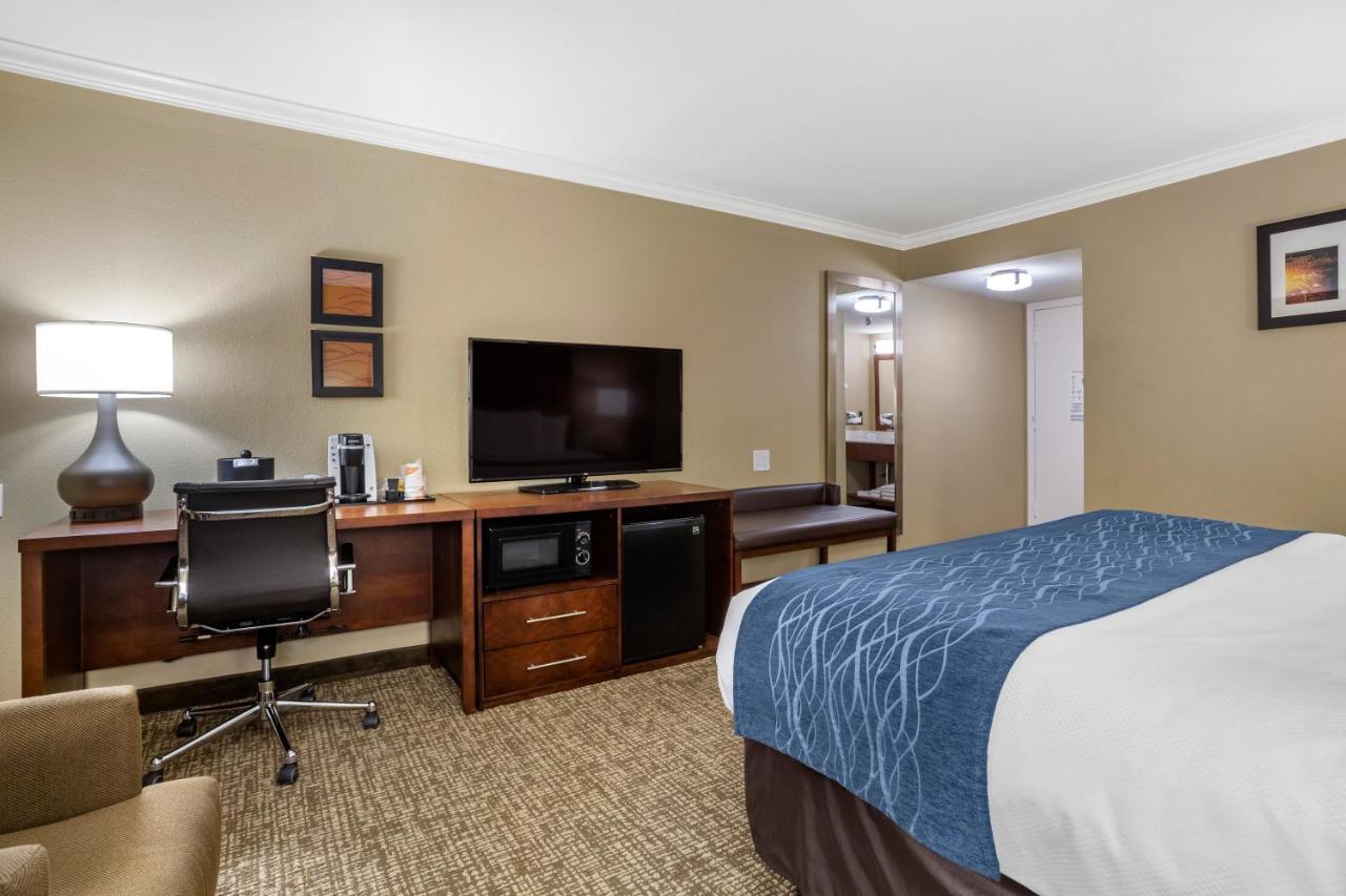 Deluxe Room, 1 King Bed, Non Smoking at Comfort Inn Sunnyvale - Silicon Valley