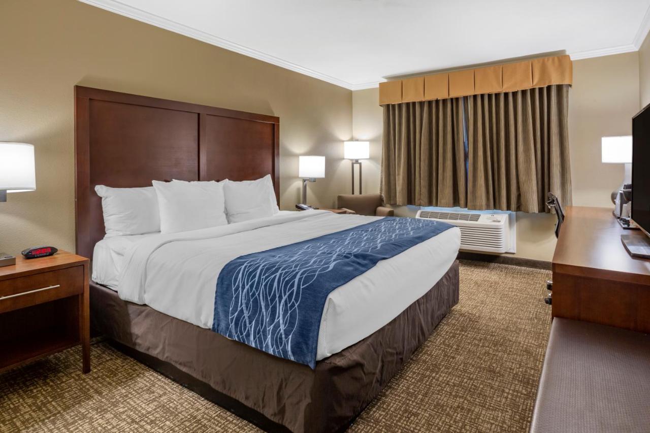 Standard Room, 1 King Bed, Non Smoking at Comfort Inn Sunnyvale - Silicon Valley