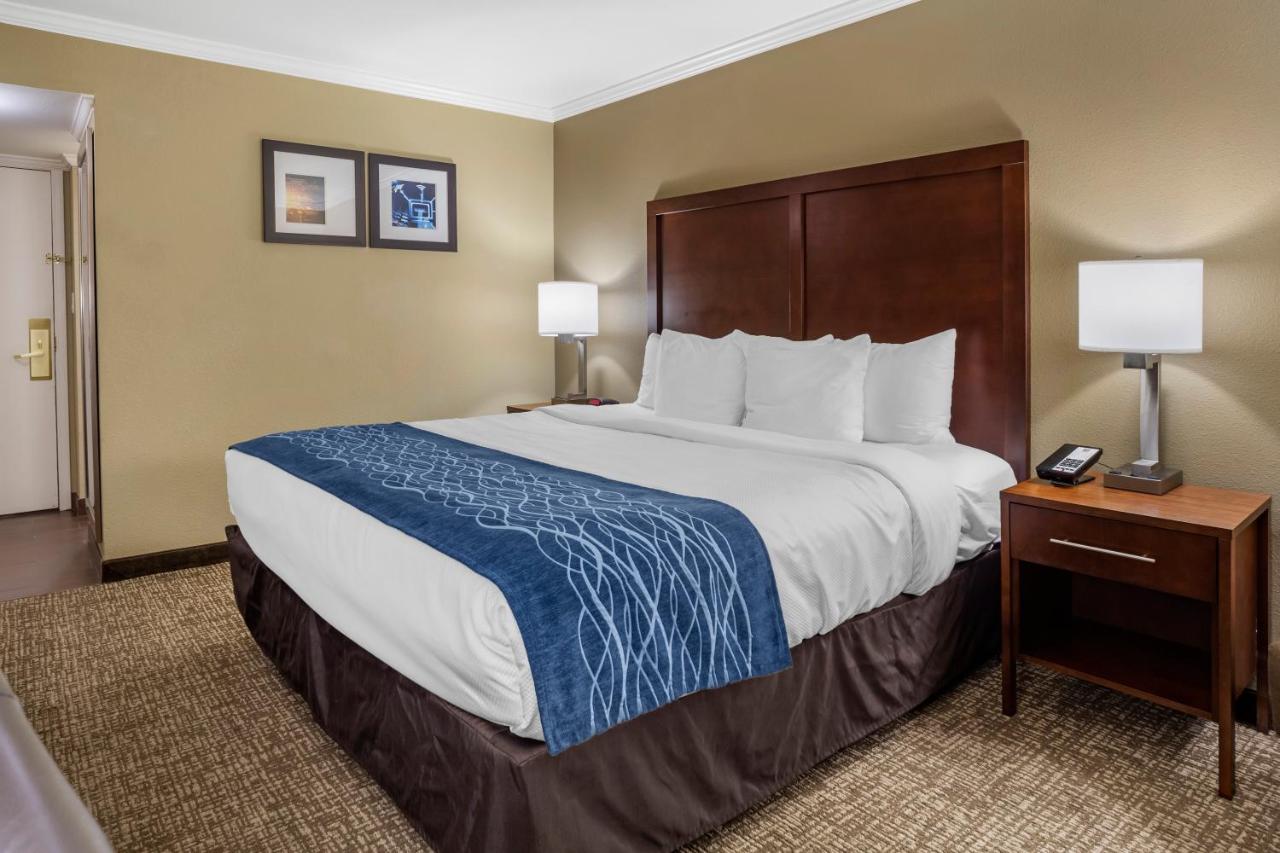 Standard Room, 1 King Bed, Non Smoking at Comfort Inn Sunnyvale - Silicon Valley