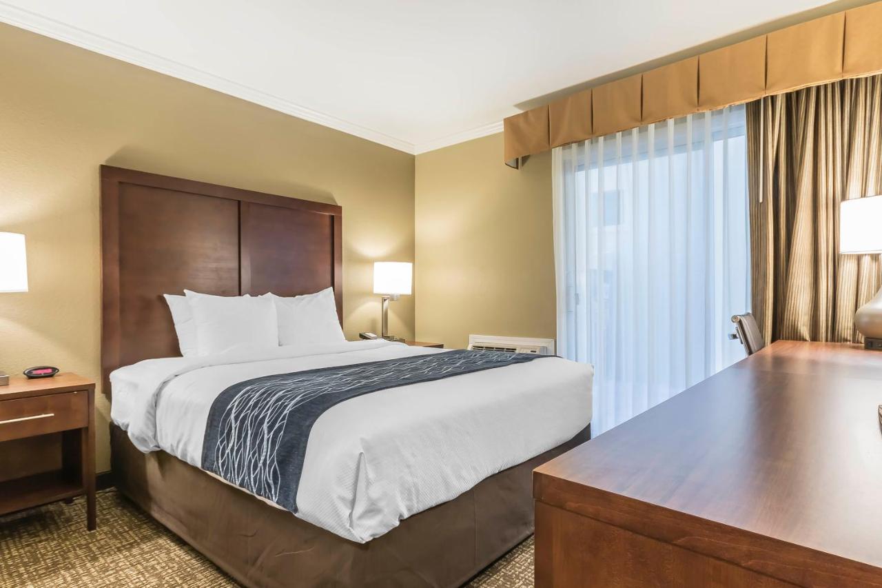 Standard Room, 1 Queen Bed, Non Smoking at Comfort Inn Sunnyvale - Silicon Valley