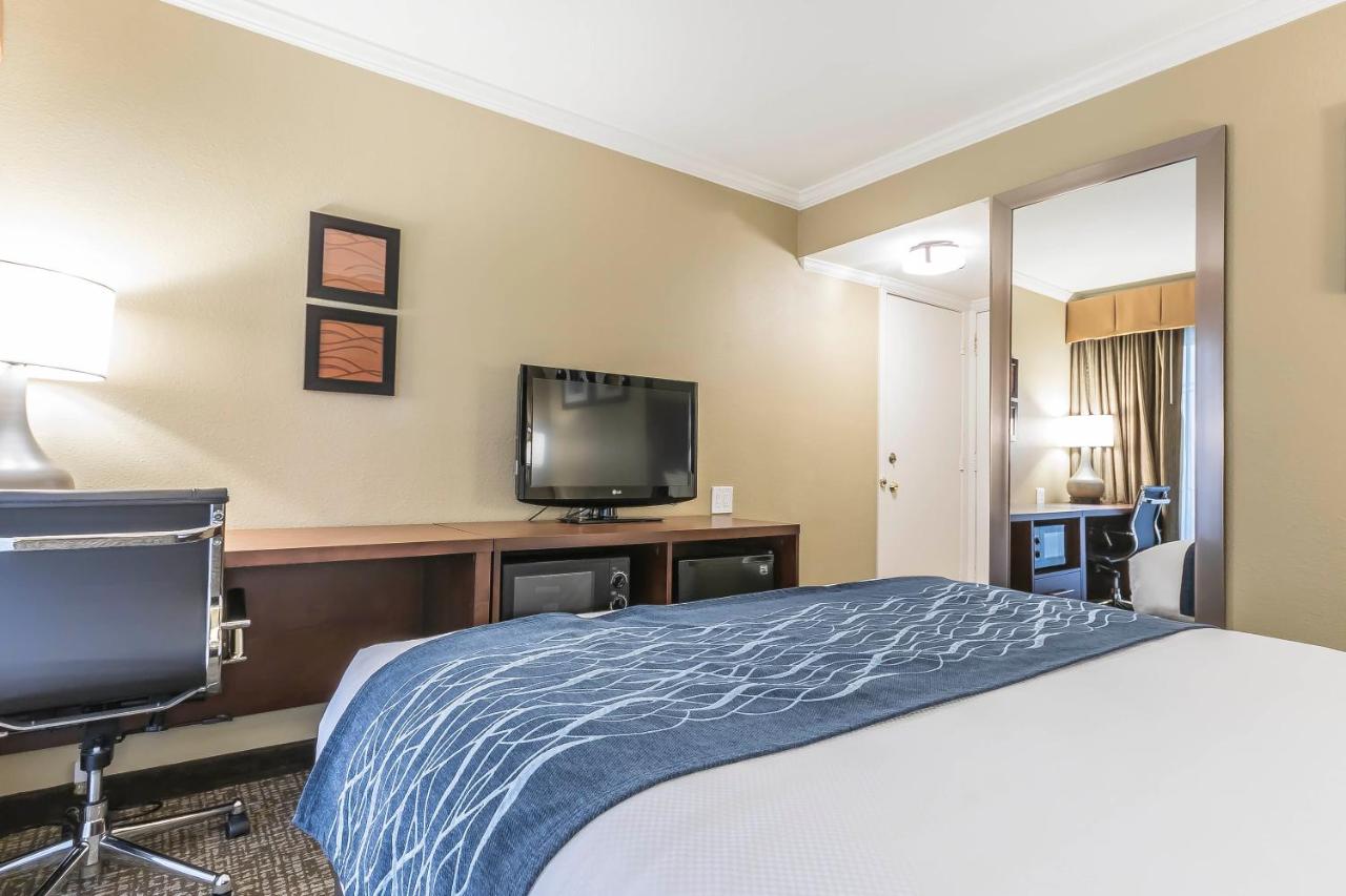 Standard Room, 1 Queen Bed, Non Smoking at Comfort Inn Sunnyvale - Silicon Valley