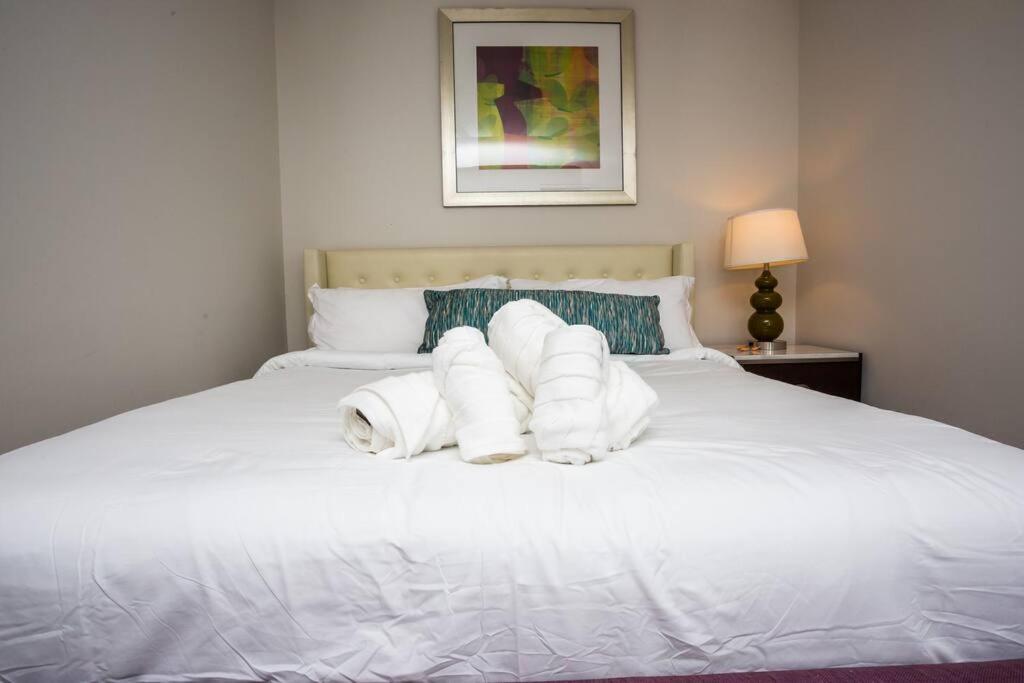 | One Bedroom Apartment with Luxurious Furnitures