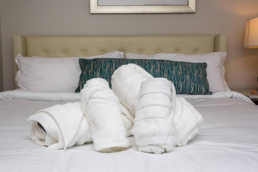 | One Bedroom Apartment with Luxurious Furnitures