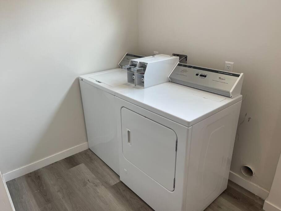 | One Bedroom Apartment with Luxurious Furnitures