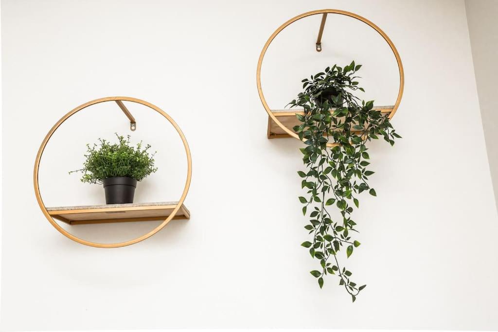  | Explore Balboa Park From Your Cozy Studio w Patio
