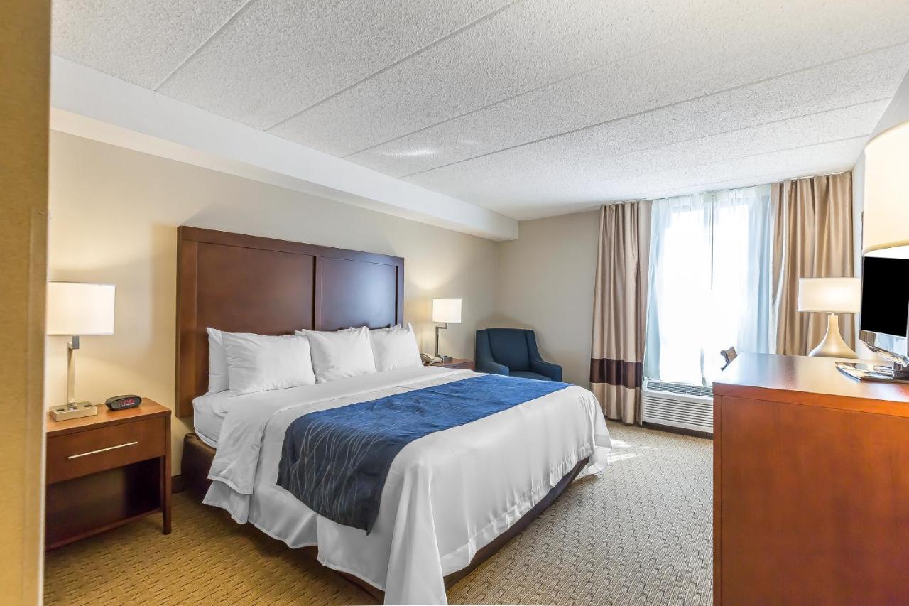 King Room - Non-Smoking at Comfort Inn Shady Grove - Gaithersburg - Rockville