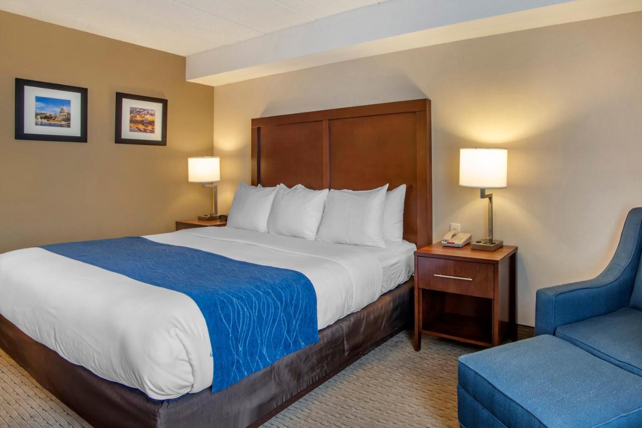King Room - Non-Smoking at Comfort Inn Shady Grove - Gaithersburg - Rockville