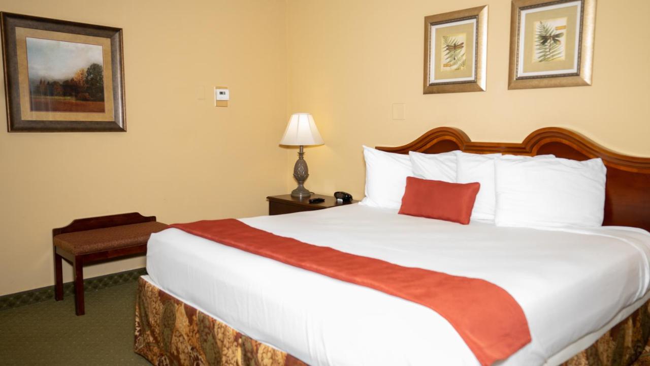 Standard King Room - Non-Smoking at Clarion Hotel & Suites Convention Center Fredericksburg