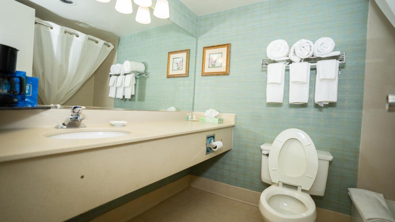 Double Suite with Two Double Beds and Sofa-Bed - Non-Smoking at Clarion Hotel & Suites Convention Center Fredericksburg