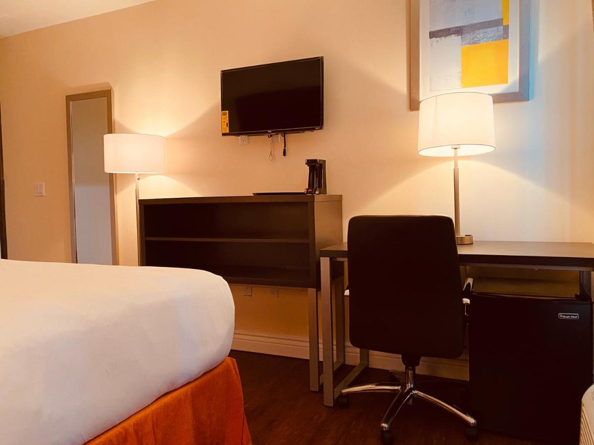 Superior King Room at Surface Inn Brooklyn