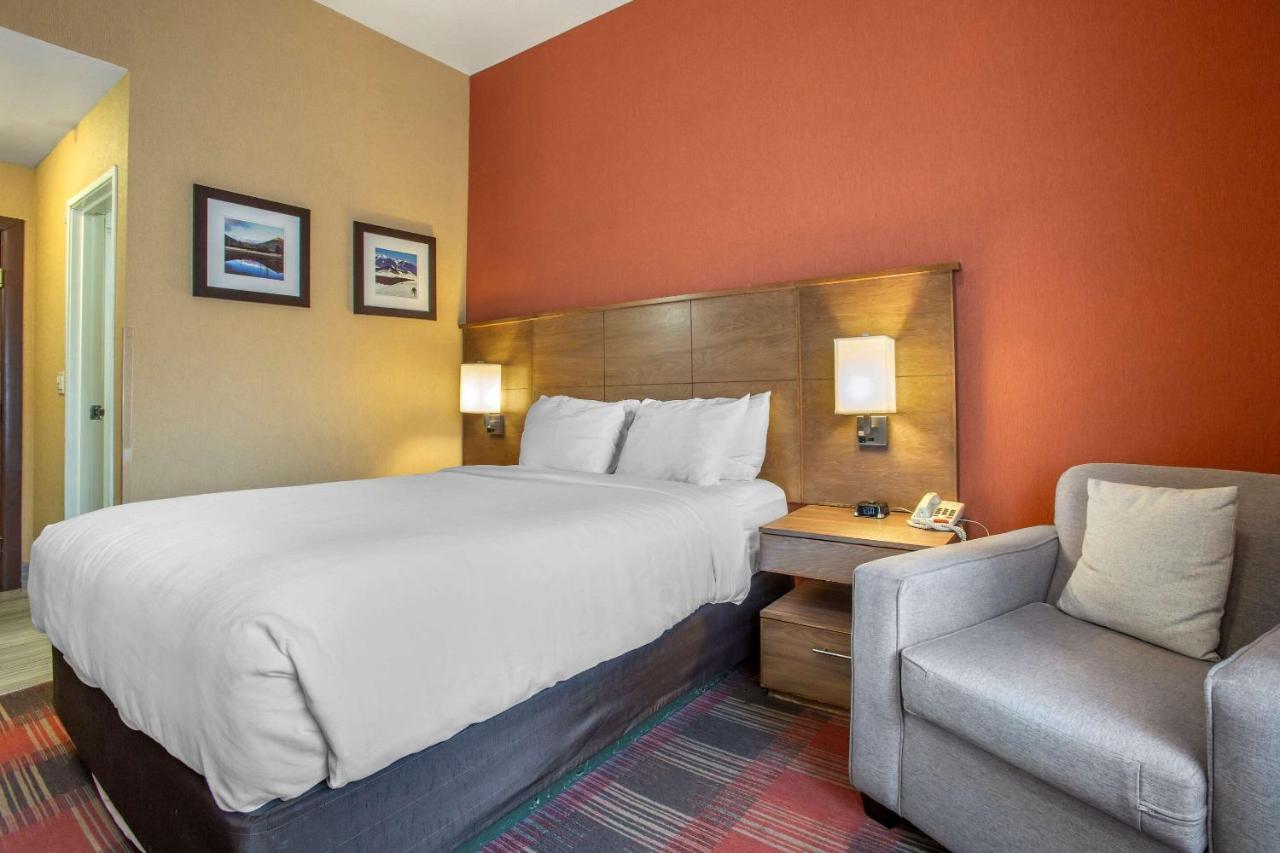 Queen Room with Roll-In Shower - Accessible/Non-Smoking at Comfort Inn Flagstaff Lucky Lane I-40