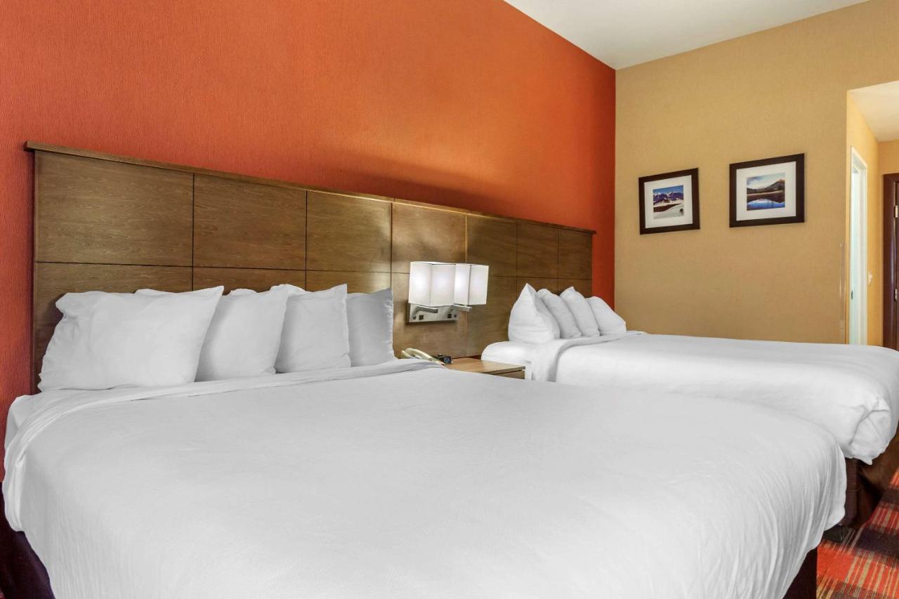 Queen Room with Two Queen Beds and Refrigerator - Non-Smoking at Comfort Inn Flagstaff Lucky Lane I-40