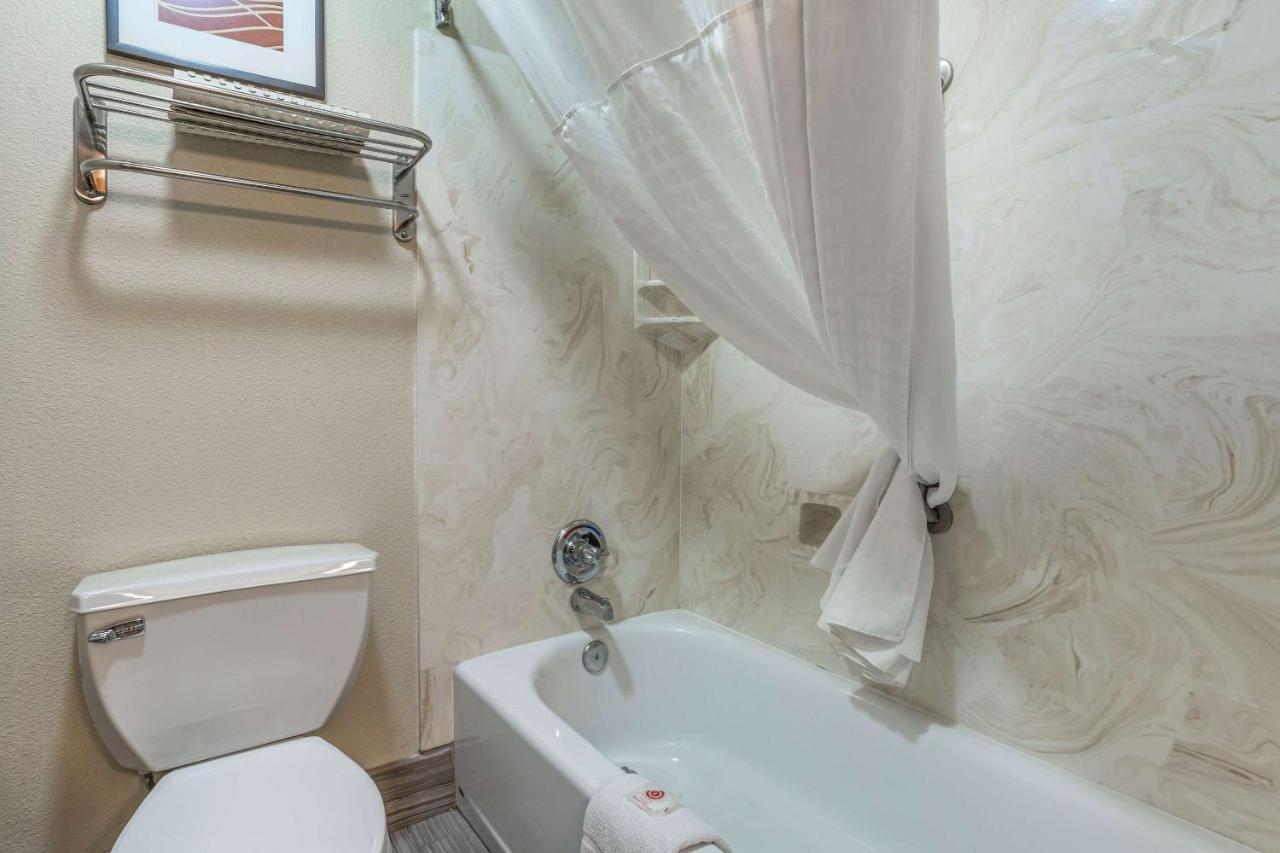 King Room with Refrigerator - Non-Smoking at Comfort Inn Flagstaff Lucky Lane I-40