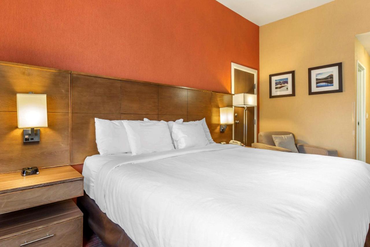 Queen Room with Refrigerator - Non-Smoking at Comfort Inn Flagstaff Lucky Lane I-40