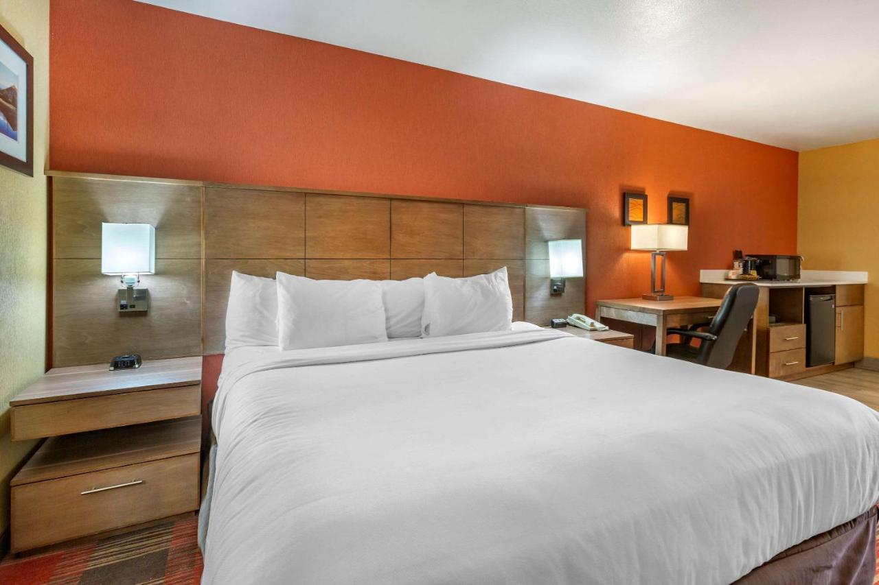 King Room with Sofa-Bed and Wet Bar - Non-Smoking at Comfort Inn Flagstaff Lucky Lane I-40