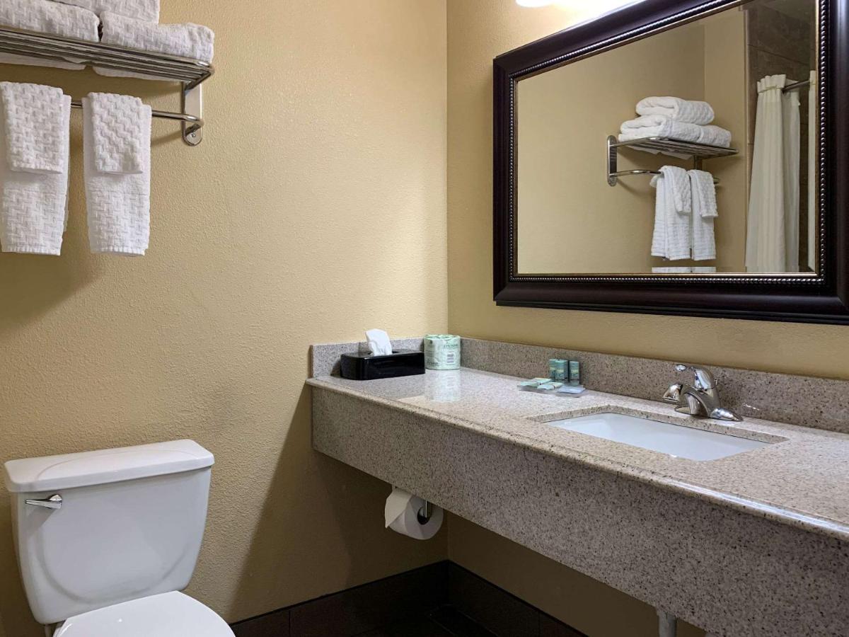 Standard King Room - Non Smoking at Comfort Inn Saint Paul East