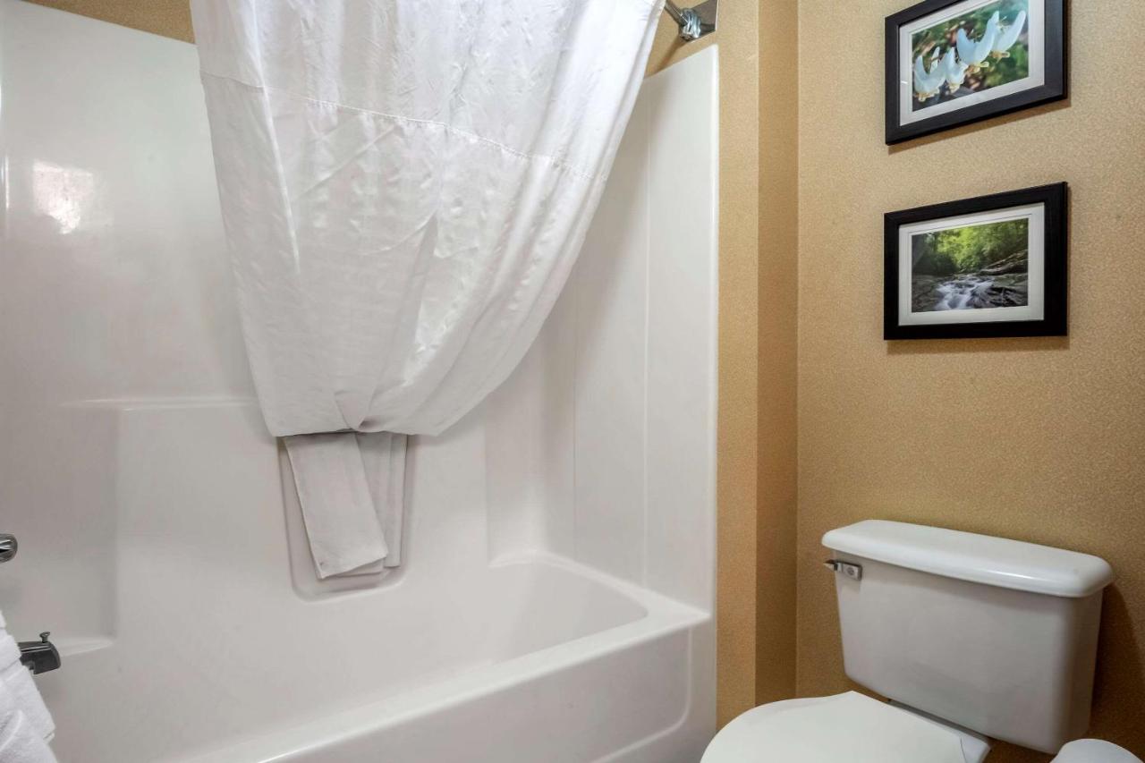 King Room - Non-Smoking at Comfort Inn Meadowlands