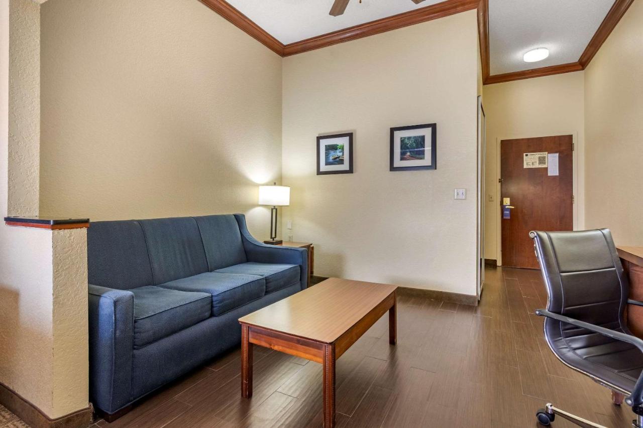 King Suite - Non-Smoking at Comfort Inn & Suites Statesboro - University Area