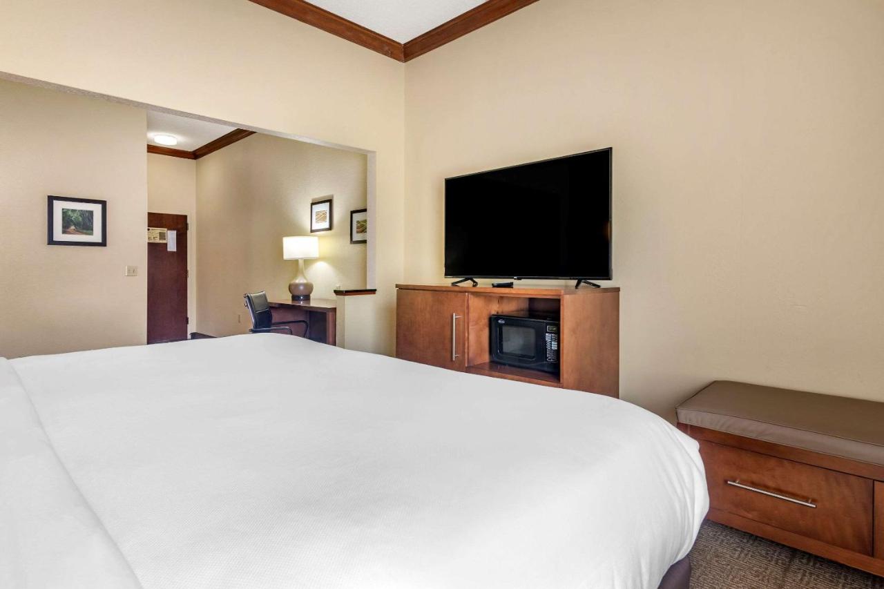 King Suite - Non-Smoking at Comfort Inn & Suites Statesboro - University Area