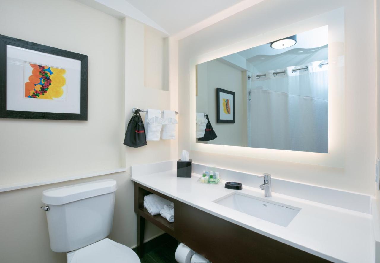 | Holiday Inn Dallas - Fort Worth Airport South, an IHG Hotel