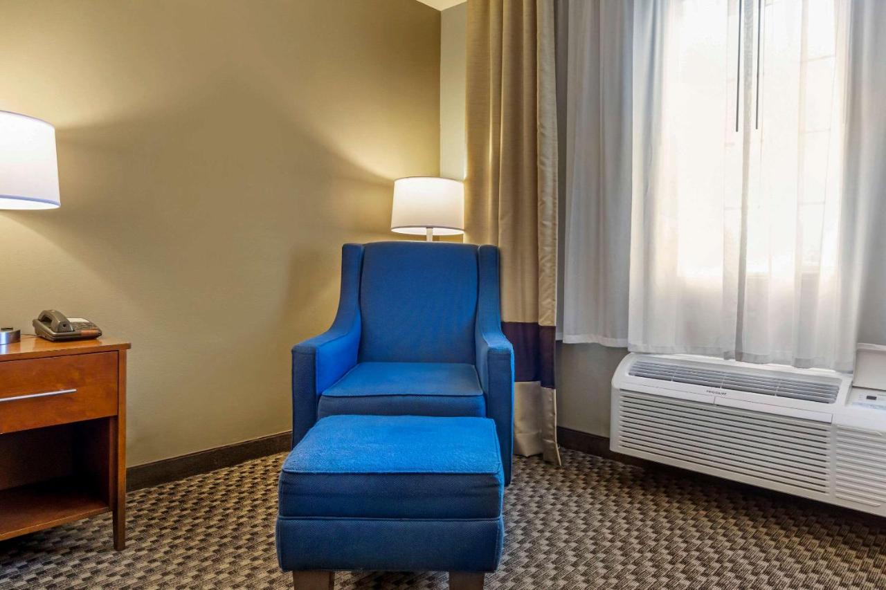 King Room at Comfort Inn Auburn - Seattle