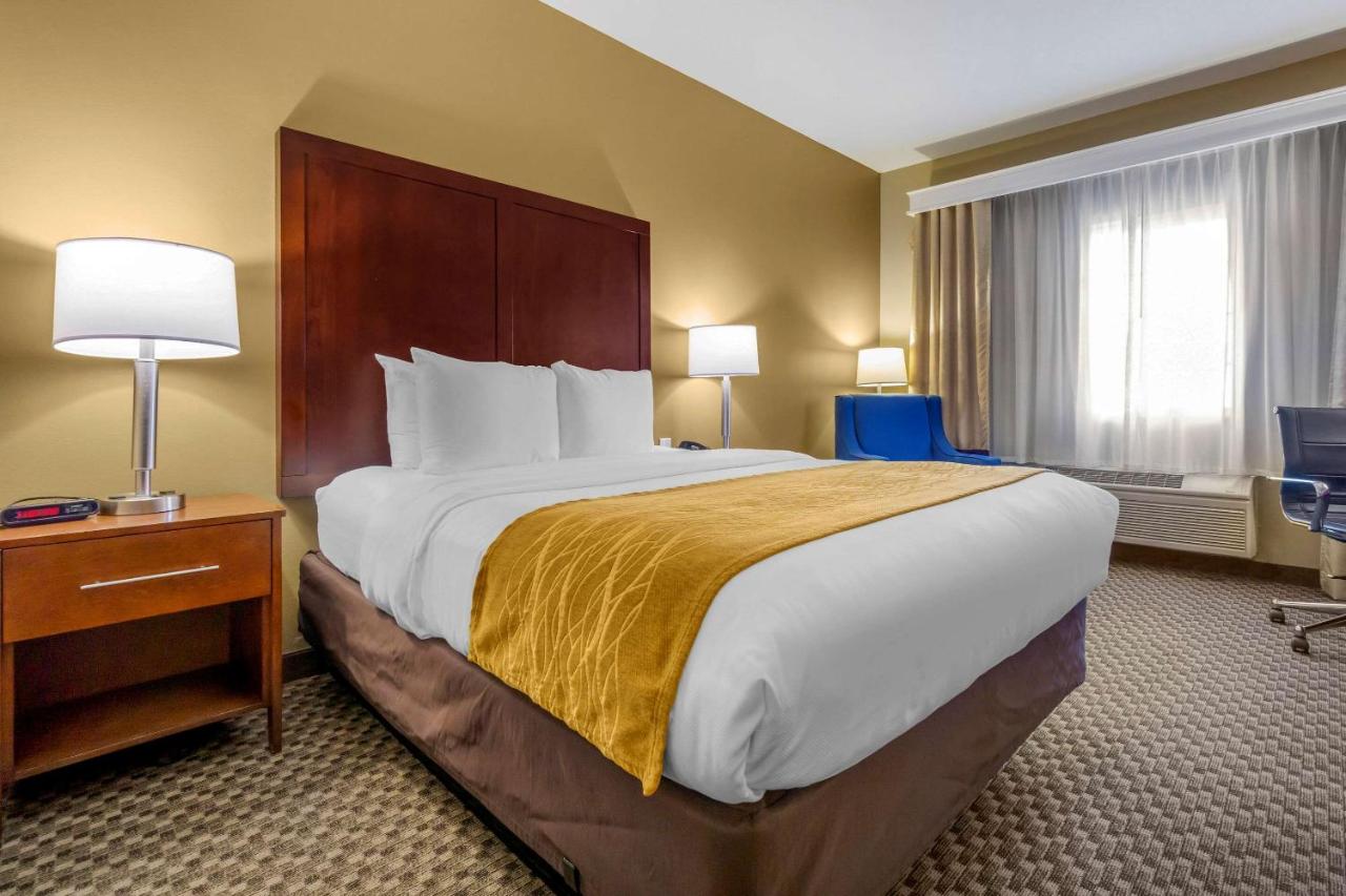 Queen Room - Disability Access/Non-Smoking at Comfort Inn Auburn - Seattle