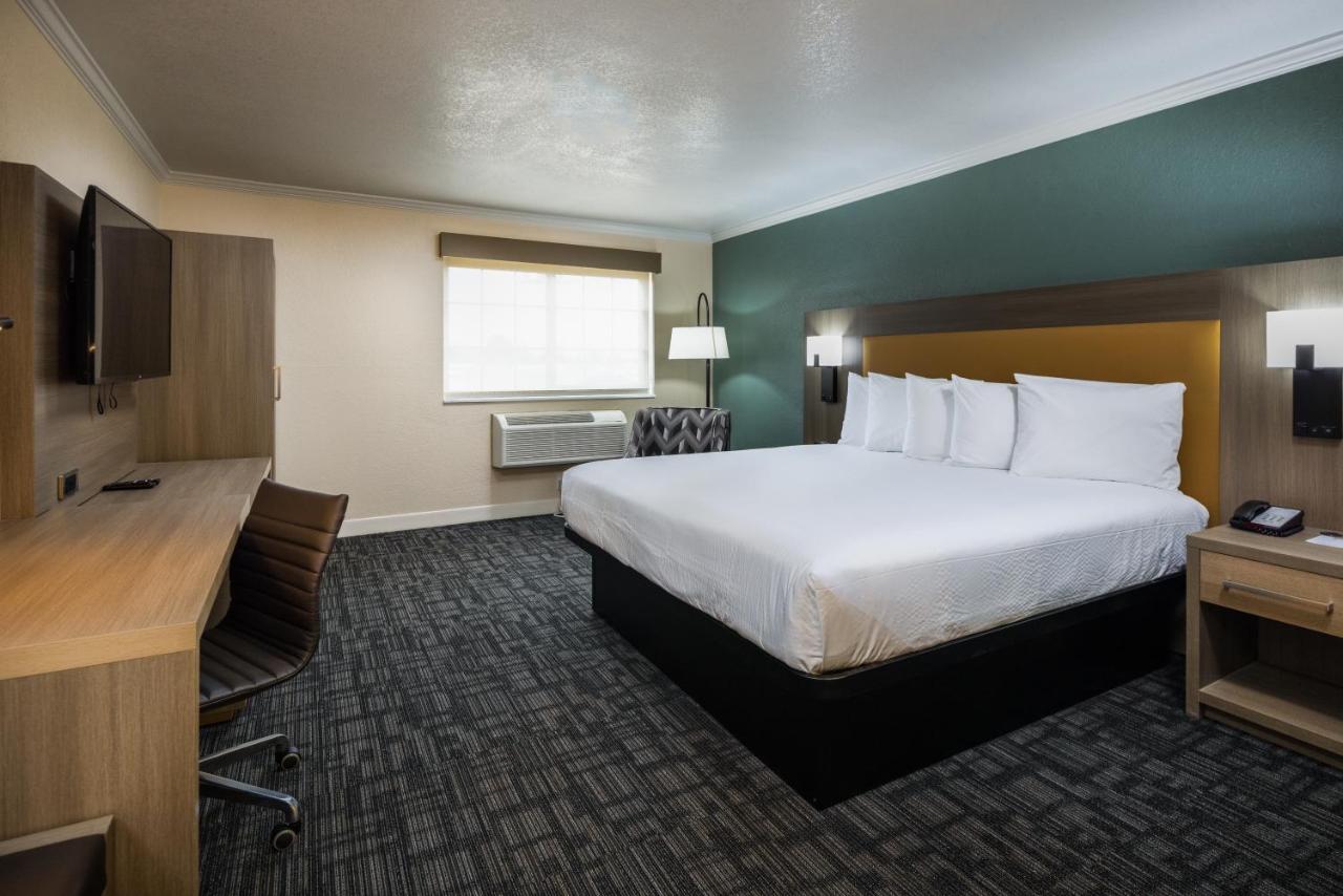 King Room at Comfort Inn Hayward - Oakland South