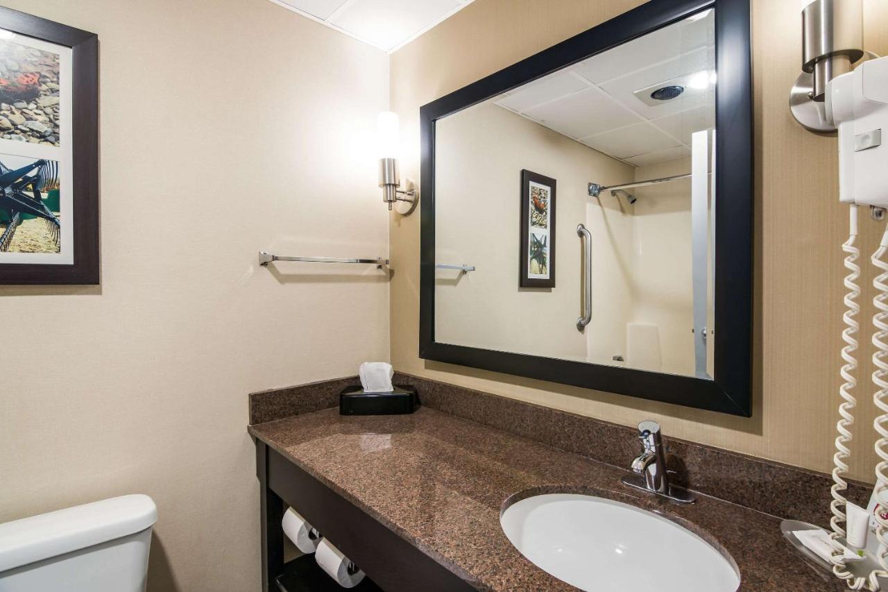 King Room 1st Floor - Non-Smoking at Clarion Pointe Jamestown - Falconer