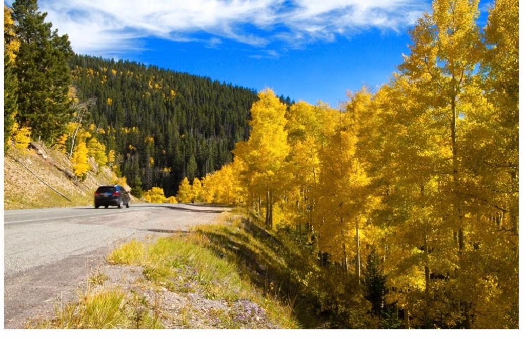 | Coos Motor Inn