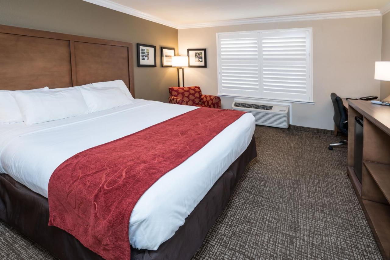 King Room - Accessible/Non-Smoking at Comfort Suites Fresno River Park